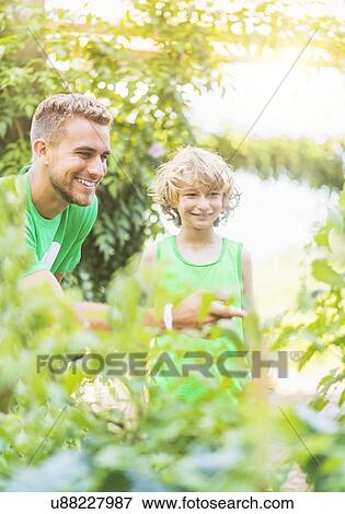 Boy (8-9) learning about plants in garden View Large Photo Image Stock Photo - Boy (8-9) learning about plants in garden. Fotosearch