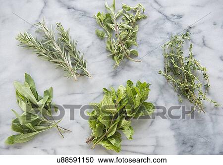 Stock Image - Bunches of various herbs on marble background. Fotosearch