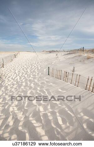 Footprints on beach View Large Photo Image Stock Photo - Footprints on beach. Fotosearch