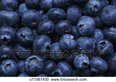 Stock Image - Fresh blueberries. Fotosearch