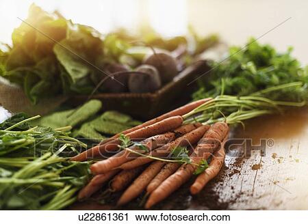 Stock Image - Freshly harvested vegetables. Fotosearch