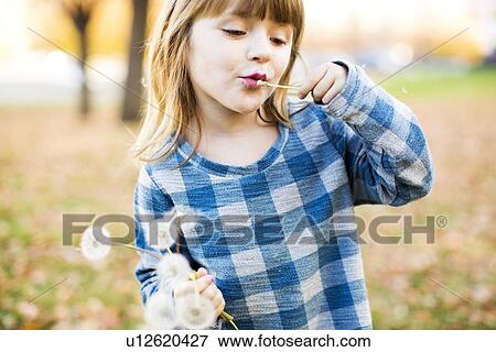 Girl (4-5) blowing at dandelion View Large Photo Image Stock Photo - Girl (4-5) blowing at dandelion. Fotosearch