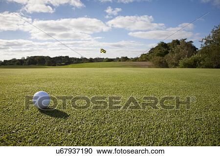Golf ball on grass in golf course View Large Photo Image Stock Image - Golf ball on grass in golf course. Fotosearch