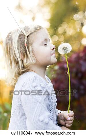Little girl (2-3) with dandelion View Large Photo Image Stock Photo - Little girl (2-3) with dandelion. Fotosearch