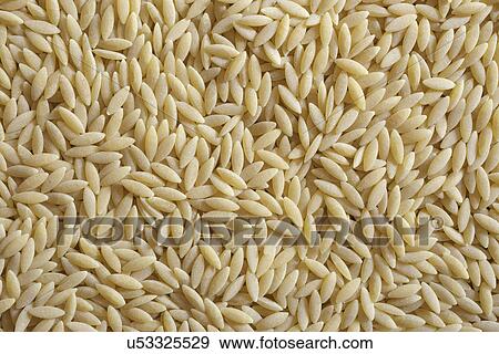 Orzo pasta View Large Photo Image Stock Photo - Orzo pasta. Fotosearch