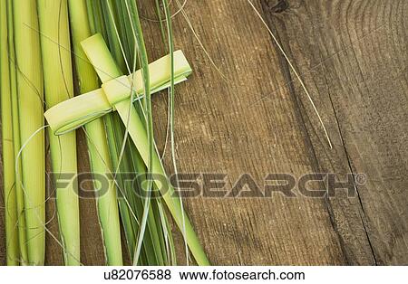 Stock Photo - Palm leaves for palm sunday. Fotosearch