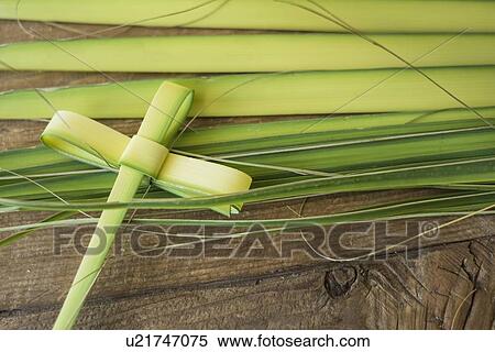 Palm leaves for palm sunday View Large Photo Image Stock Photography - Palm leaves for palm sunday. Fotosearch