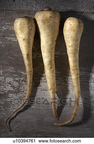 Parsnips on weathered wooden table View Large Photo Image Stock Image - Parsnips on weathered wooden table. Fotosearch