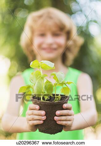 Portrait of boy (8-9) holding potted plant View Large Photo Image Stock Photo - Portrait of boy (8-9) holding potted plant. Fotosearch