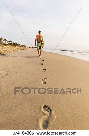 Rear view of surfer on beach View Large Photo Image Stock Photography - Rear view of surfer on beach. Fotosearch