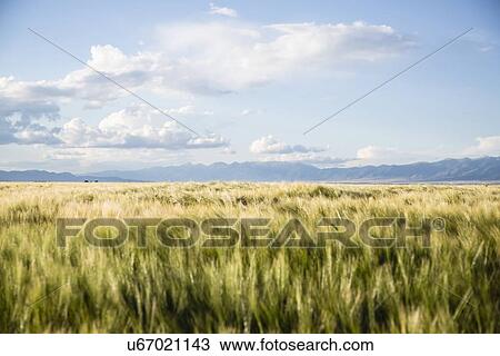 Scenic view of landscape View Large Photo Image Stock Image - Scenic view of landscape. Fotosearch