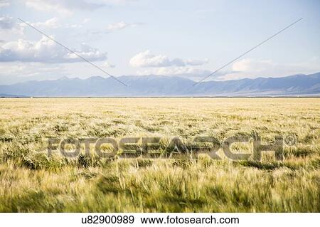 Stock Photo - Scenic view of landscape. Fotosearch