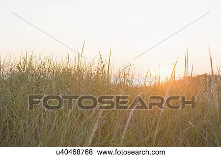 Scenic view of sunset View Large Photo Image Stock Photo - Scenic view of sunset. Fotosearch