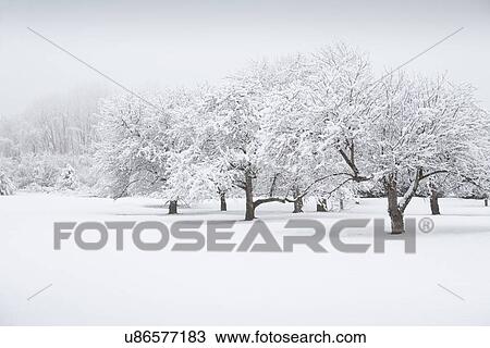Scenic view of winter landscape View Large Photo Image Stock Image - Scenic view of winter landscape. Fotosearch