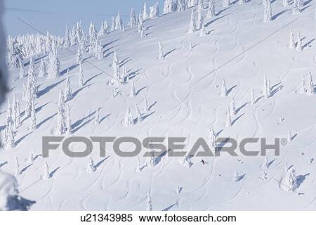 Stock Photography - Ski slope with snowy trees. Fotosearch