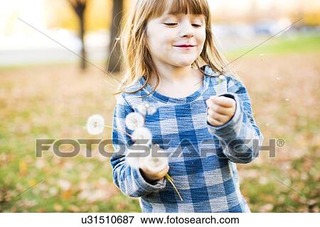 Smiling girl (4-5) with dandelions View Large Photo Image Stock Photo - Smiling girl (4-5) with dandelions. Fotosearch