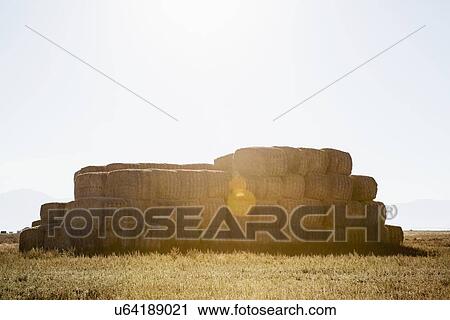 Stock Image - Stack of bales in field. Fotosearch