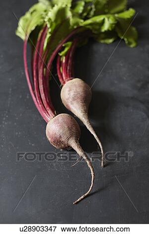 Two beets on black background View Large Photo Image Stock Photo - Two beets on black background. Fotosearch