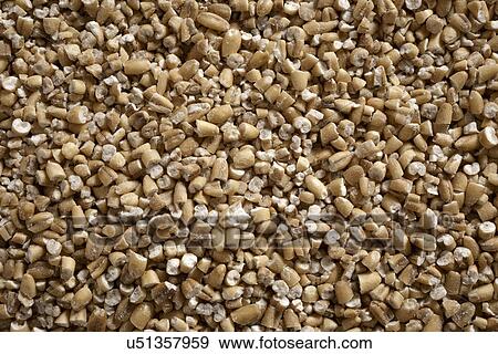 Uncooked steel cut irish oats View Large Photo Image Stock Photo - Uncooked steel cut irish oats. Fotosearch