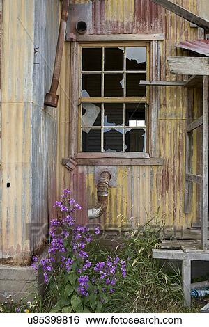 "Estancia San Gregorio, Patagonia, Chile" View Large Photo Image Stock Photograph - "Estancia San Gregorio, Patagonia, Chile". Fotosearch