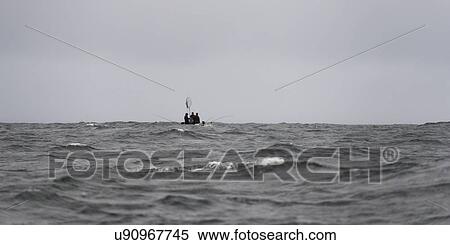 "Fishermen in a boat on the Pacific Ocean, Skeena-Queen Charlotte Regional District, Haida Gwaii, Graham Island, British Columbia, Canada" View Large Photo Image Stock Photography - "Fishermen in a boat on the Pacific Ocean, Skeena-Queen Charlotte Regional District, Haida Gwaii, Graham Island, British Columbia, Canada". Fotosearch