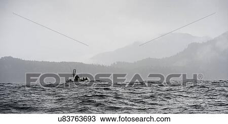 Stock Image - "Fishing boat in the Pacific Ocean, Skeena-Queen Charlotte Regional District, Haida Gwaii, Graham Island, British Columbia, Canada". Fotosearch