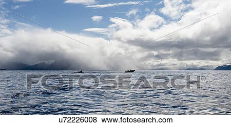Stock Photo - "Fishing boats in the Pacific Ocean, Skeena-Queen Charlotte Regional District, Haida Gwaii, Graham Island, British Columbia, Canada". Fotosearch