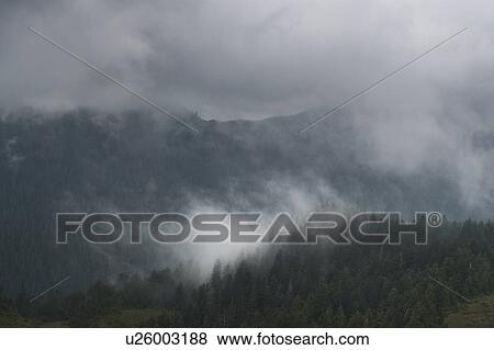 "Fog over mountain, Skeena-Queen Charlotte Regional District, Haida Gwaii, Graham Island, British Columbia, Canada" View Large Photo Image Stock Photo - "Fog over mountain, Skeena-Queen Charlotte Regional District, Haida Gwaii, Graham Island, British Columbia, Canada". Fotosearch