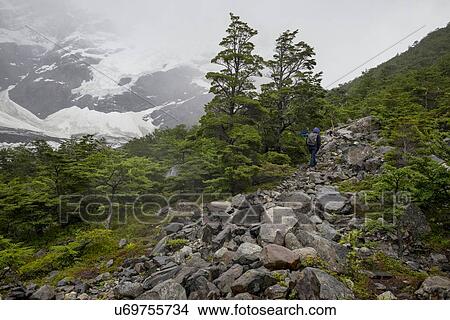 Picture - "French Valley, Torres del Paine National Park, Patagonia, Chile". Fotosearch