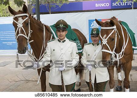 "Horse guardsman, Santiago, Santiago Metropolitan Region, Chile" View Large Photo Image Stock Photography - "Horse guardsman, Santiago, Santiago Metropolitan Region, Chile". Fotosearch
