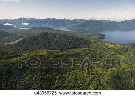 "Islands in Skeena-Queen Charlotte Regional District, Haida Gwaii, Graham Island, British Columbia, Canada" View Large Photo Image Stock Photography - "Islands in Skeena-Queen Charlotte Regional District, Haida Gwaii, Graham Island, British Columbia, Canada". Fotosearch