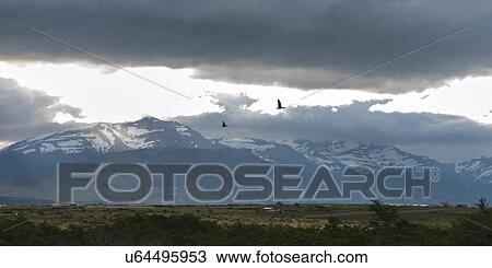 "Puerto Natales, Patagonia, Chile" View Large Photo Image Stock Image - "Puerto Natales, Patagonia, Chile". Fotosearch