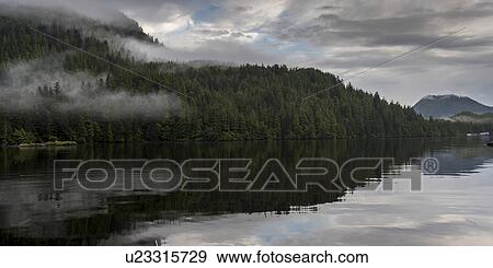 "Reflection of landscape on water, Skeena-Queen Charlotte Regional District, Haida Gwaii, Graham Island, British Columbia, Canada" View Large Photo Image Stock Photo - "Reflection of landscape on water, Skeena-Queen Charlotte Regional District, Haida Gwaii, Graham Island, British Columbia, Canada". Fotosearch