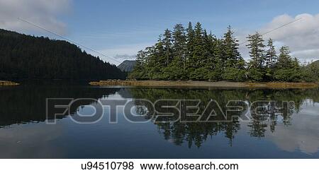 "Reflection of trees on water, Skeena-Queen Charlotte Regional District, Haida Gwaii, Graham Island, British Columbia, Canada" View Large Photo Image Stock Photo - "Reflection of trees on water, Skeena-Queen Charlotte Regional District, Haida Gwaii, Graham Island, British Columbia, Canada". Fotosearch