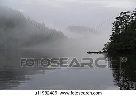 Stock Photograph - "Reflection of trees on water, Skeena-Queen Charlotte Regional District, Haida Gwaii, Graham Island, British Columbia, Canada". Fotosearch