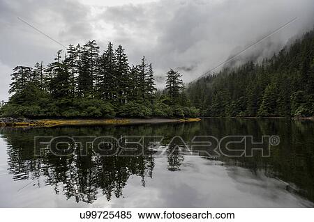 "Reflection of trees on water, Skeena-Queen Charlotte Regional District, Haida Gwaii, Graham Island, British Columbia, Canada" View Large Photo Image Stock Photography - "Reflection of trees on water, Skeena-Queen Charlotte Regional District, Haida Gwaii, Graham Island, British Columbia, Canada". Fotosearch