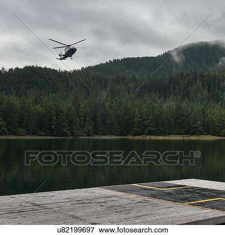 Stock Photo - "Sikorsky helicopter coming in for a landing, Skeena-Queen Charlotte Regional District, Haida Gwaii, Graham Island, British Columbia, Canada". Fotosearch