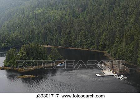 Stock Photo - "Sikorsky helicopter flying over a lake, Skeena-Queen Charlotte Regional District, Haida Gwaii, Graham Island, British Columbia, Canada". Fotosearch