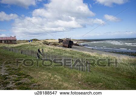 "Strait of Magellan, Estancia San Gregorio, Patagonia, Chile" View Large Photo Image Stock Photo - "Strait of Magellan, Estancia San Gregorio, Patagonia, Chile". Fotosearch