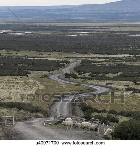 Stock Image - "Torres Del Paine National Park, Patagonia, Chile". Fotosearch