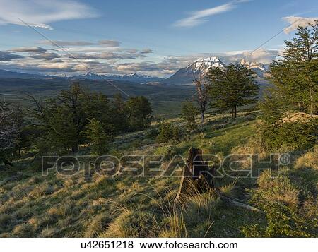 "Torres Del Paine National Park, Patagonia, Chile" View Large Photo Image Stock Photo - "Torres Del Paine National Park, Patagonia, Chile". Fotosearch