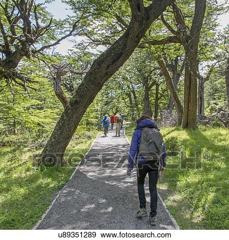 "Torres Del Paine National Park, Patagonia, Chile" View Large Photo Image Stock Photo - "Torres Del Paine National Park, Patagonia, Chile". Fotosearch