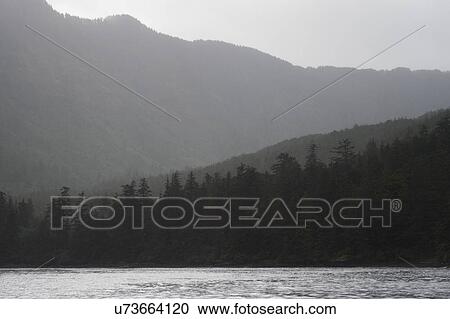 Stock Image - "Trees in a forest with mountain in the background, Skeena-Queen Charlotte Regional District, Haida Gwaii, Graham Island, British Columbia, Canada". Fotosearch