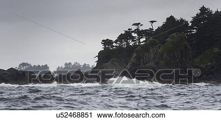 Stock Image - "Trees on an island, Skeena-Queen Charlotte Regional District, Haida Gwaii, Graham Island, British Columbia, Canada". Fotosearch