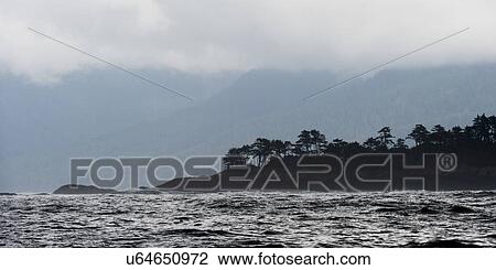 Stock Image - "Trees on an island, Skeena-Queen Charlotte Regional District, Haida Gwaii, Graham Island, British Columbia, Canada". Fotosearch
