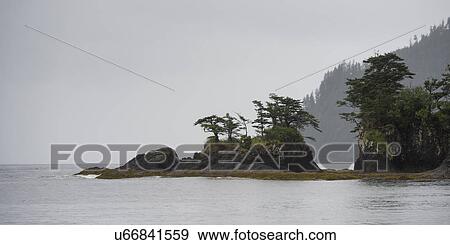 "Trees on an island, Skeena-Queen Charlotte Regional District, Haida Gwaii, Graham Island, British Columbia, Canada" View Large Photo Image Stock Photo - "Trees on an island, Skeena-Queen Charlotte Regional District, Haida Gwaii, Graham Island, British Columbia, Canada". Fotosearch