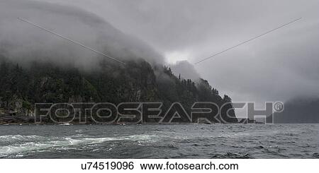 "Trees on an island, Skeena-Queen Charlotte Regional District, Haida Gwaii, Graham Island, British Columbia, Canada" View Large Photo Image Stock Photograph - "Trees on an island, Skeena-Queen Charlotte Regional District, Haida Gwaii, Graham Island, British Columbia, Canada". Fotosearch