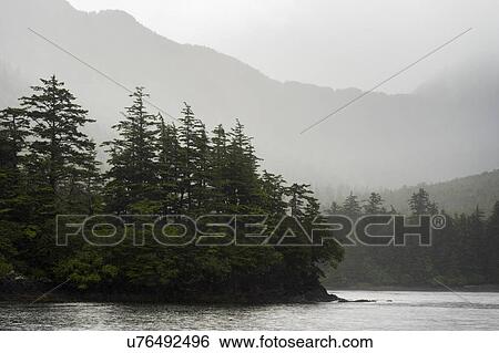 Stock Photograph - "Trees on an island, Skeena-Queen Charlotte Regional District, Haida Gwaii, Graham Island, British Columbia, Canada". Fotosearch