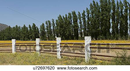 Stock Image - "View of a fence on a farm in Casablanca Valley, Chile". Fotosearch