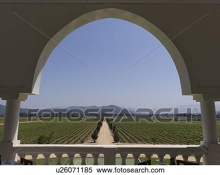 Stock Photography - "View of a vineyard from a balcony in Casablanca Valley, Chile". Fotosearch